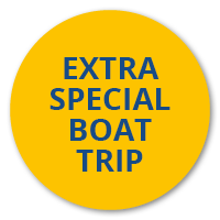 Book your extended dolphin watching tour