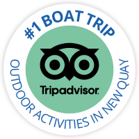 TripAdvisor reviews TripAdvisor reviews
