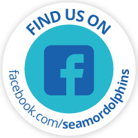 Seamor Facebook page Visit our Seamor Facebook page
