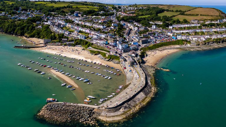 New Quay boat trip, Cardigan Bay