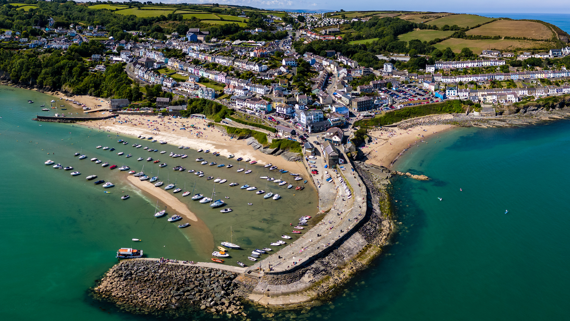 New Quay boat trip, Cardigan Bay