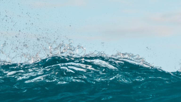 How long can a bottlenose dolphin hold its breath?