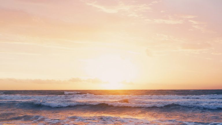What to do in Cardigan Bay, Wales this summer?