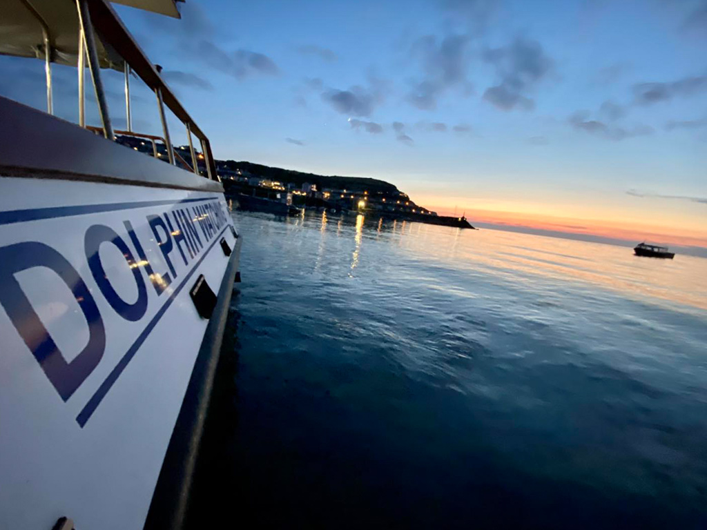Guided boat trip tours Boat Trips at New Quay with guided tours